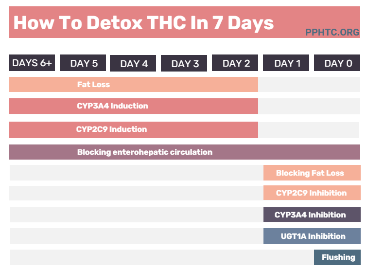 how to detox THC in 7 days